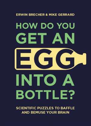 How Do You Get An Egg Into A Bottle? de Erwin Brecher