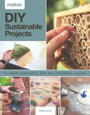 Maker.DIY Sustainable Projects: 15 step-by-step projects for eco-friendly living de Audrey Love