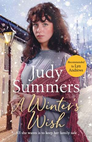 A Winter's Wish de Judy Summers