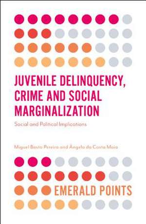 Juvenile Delinquency, Crime and Social Marginali – Social and Political Implications de Miguel Basto Pereira