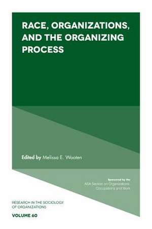 Race, Organizations, and the Organizing Process de Melissa E. Wooten