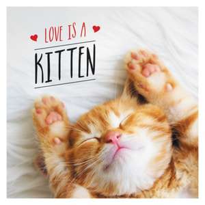 Love Is a Kitten de Charlie Ellis