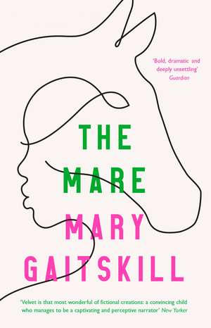 The Mare de Mary Gaitskill