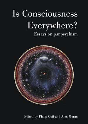 Is Consciousness Everywhere? de Alex Moran