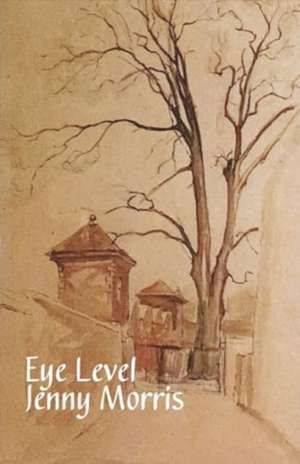 Eye Level de Jenny Morris