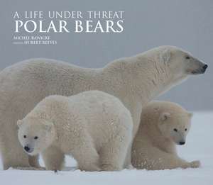 POLAR BEARS de Michel Rawicki