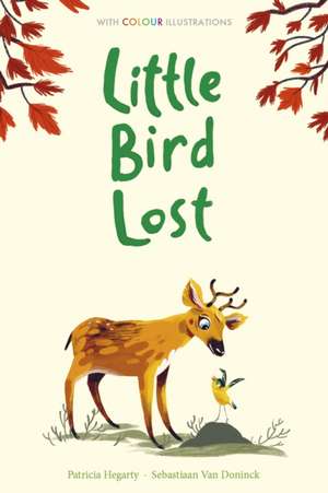 Little Bird Lost de Patricia Hegarty