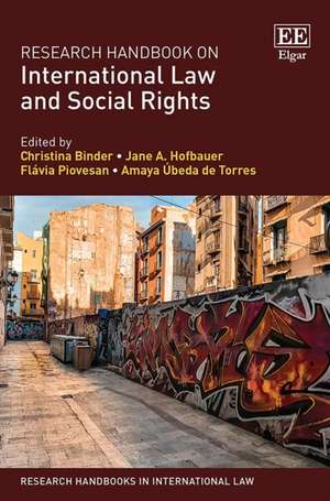 Research Handbook on International Law and Social Rights de Christina Binder