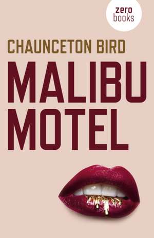 Malibu Motel – A novel about the colossal cost of free cash de Chaunceton Bird