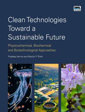 Clean Technologies Toward a Sustainable Future de Maulin Shah