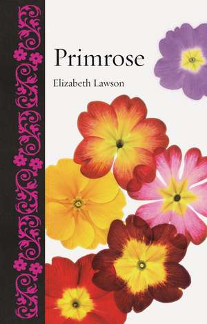 Primrose de Elizabeth Lawson