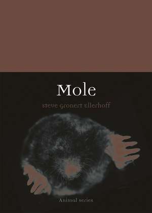 Mole de Steve Gronert Ellerhoff