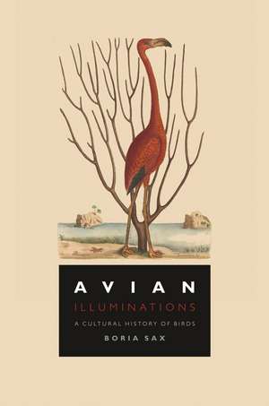 Avian Illuminations: A Cultural History of Birds de Boria Sax