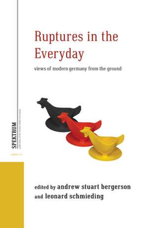 Ruptures in the Everyday de Andrew Stuart Bergerson