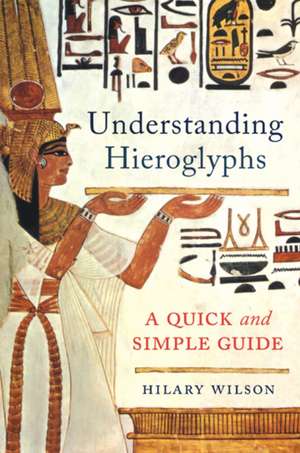 Understanding Hieroglyphs de Hilary Wilson