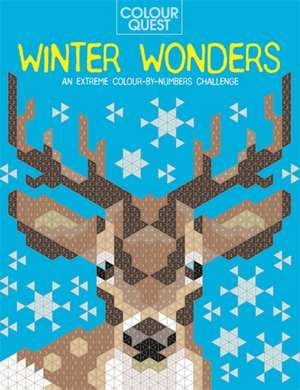 Colour Quest: Winter Wonders: An Extreme Colour by Numbers Challenge de Daniela Geremia