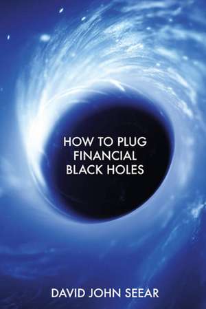 How to Plug Financial Black Holes de David John Seear