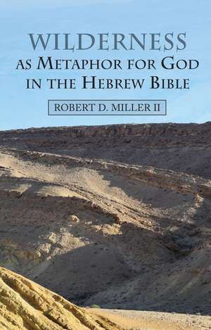 Wilderness as Metaphor for God in the Hebrew Bible de Robert Miller Ii Ofs