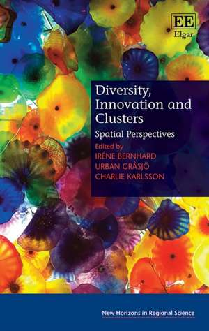 Diversity, Innovation and Clusters – Spatial Perspectives de Iréne Bernhard