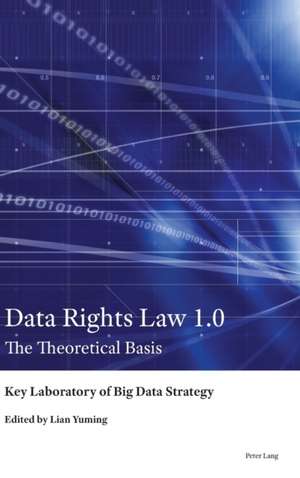 Data Rights Law 1.0 de Key Laboratory of Big Data Strategy