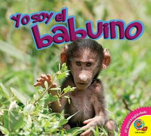El Babuino (Baboon) de John Willis