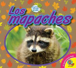 Los Mapaches de Heather Kissock