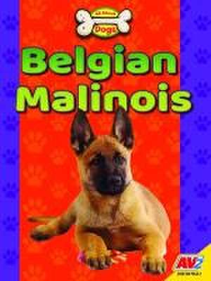 Belgian Malinois de Katie Gillespie