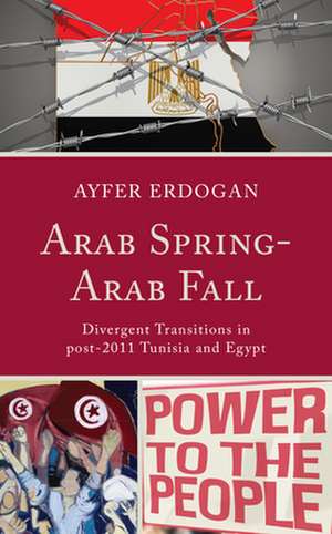 Arab Spring-Arab Fall de Ayfer Erdogan