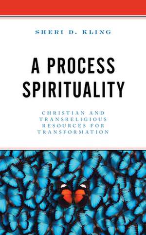 PROCESS SPIRITUALITYCHRISTIANCB de Sheri D. Kling