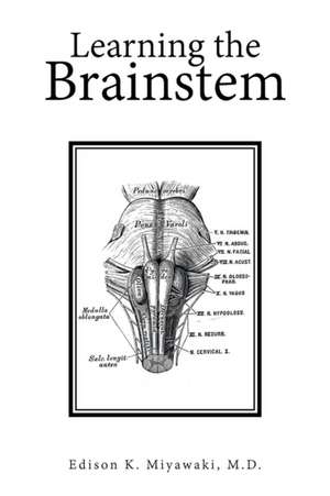 Learning the Brainstem de Edison K. Miyawaki M. D.