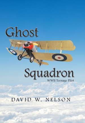 Ghost Squadron de David W Nelson