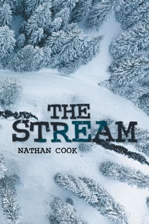 The Stream de Nathan Cook