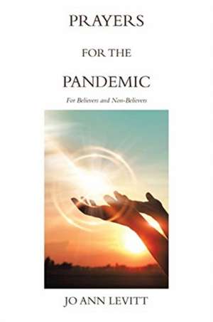 Prayers for the Pandemic de Jo Ann Levitt