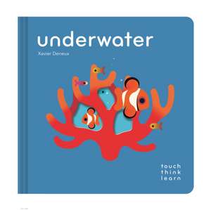TouchThinkLearn: Underwater de Xavier Deneux