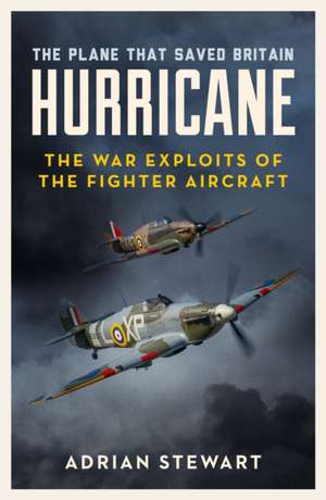 Hurricane de Adrian Stewart