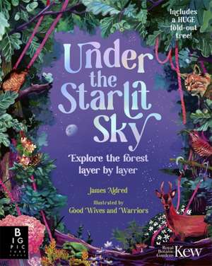 Under the Starlit Sky de James Aldred