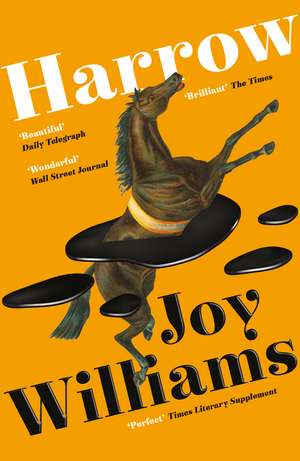 Harrow de Joy Williams