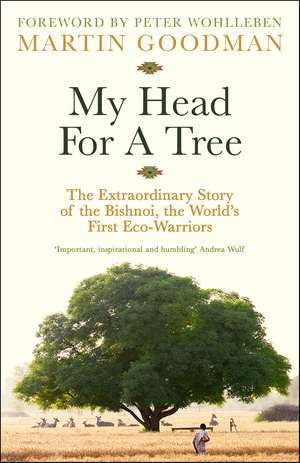 My Head For A Tree de Martin Goodman