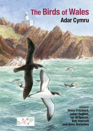 The Birds of Wales de Rhion Pritchard