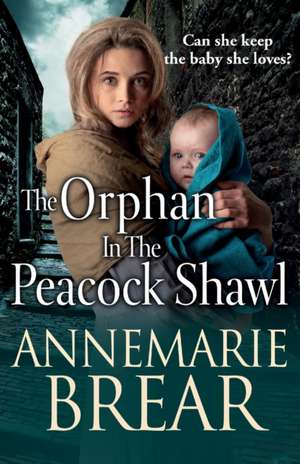 The Orphan in the Peacock Shawl de Annemarie Brear