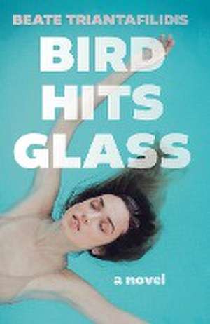 Bird Hits Glass de Beate Triantafilidis