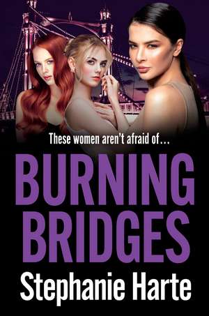 Burning Bridges: An absolutely unputdownable and gripping crime thriller! de Stephanie Harte