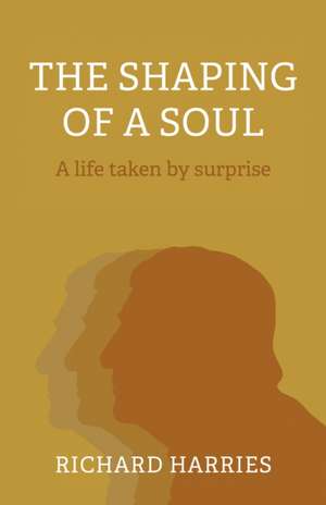 Shaping of a Soul, The – A life taken by surprise de Richard Harries