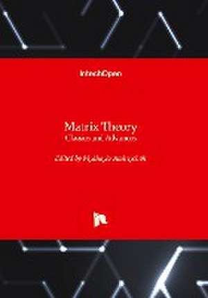 Matrix Theory