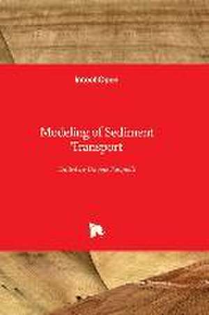 Modeling of Sediment Transport de Davide Pasquali