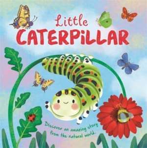 Little Caterpillar de Autumn Publishing