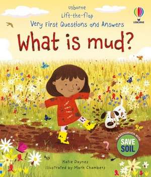 Very First Questions and Answers: What is mud? de Katie Daynes