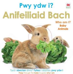 Pwy Ydw i? Anifeiliaid Bach / Who Am I? Baby Animals de Dk