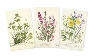 Royal Botanic Garden Edinburgh Set of 3 Mini Notebooks de Flame Tree Studio