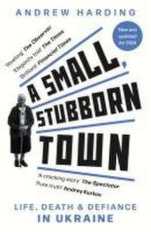 A Small, Stubborn Town de Andrew Harding